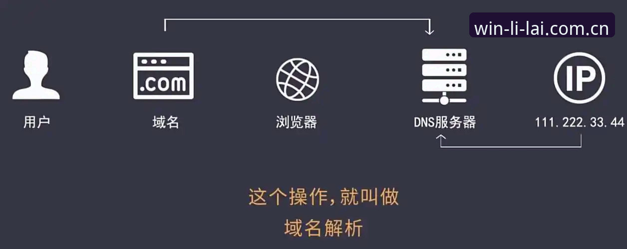 资深用户分享：利来体育平台使用心得与实战经验，从域名查找到注册登录全流程解析